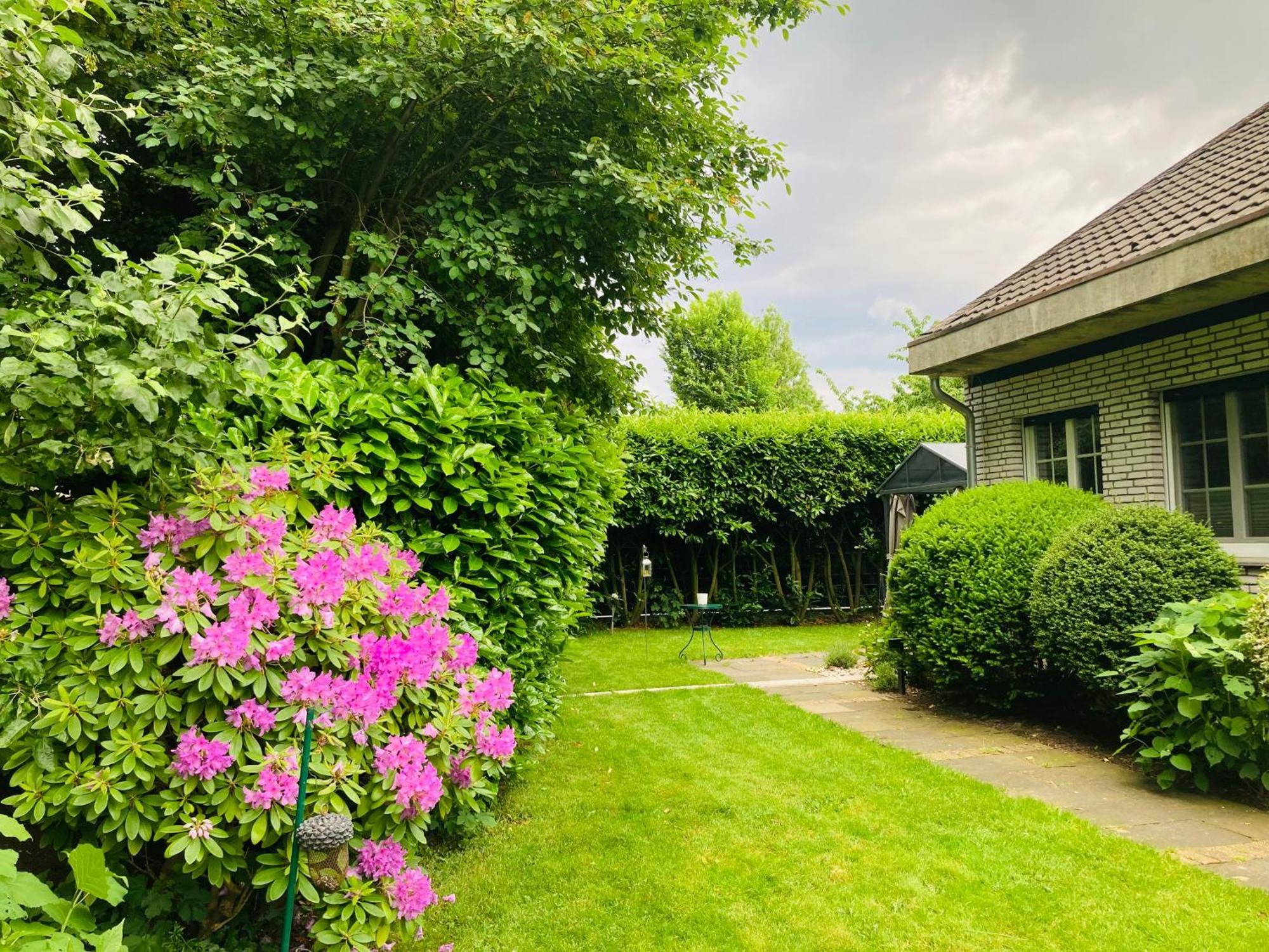Ferienwohnung Im Haus Annabelle Weeze Exteriör bild